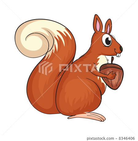 A squirrel A squirrel 8346406