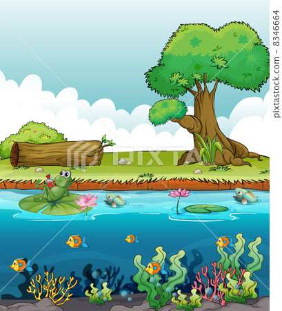 A frog and fishes in the river A frog and fishes in the river 8346664