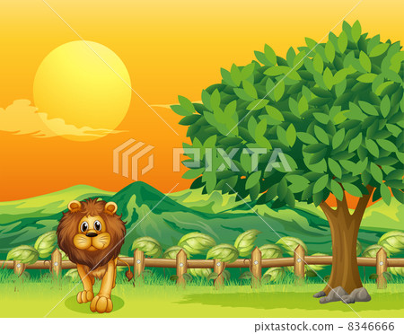 A lion at the cliff A lion at the cliff 8346666