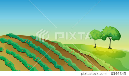 Agricultural land and trees Agricultural land and trees 8346845