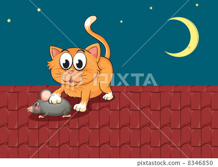 a cat and a rat at the rooftop 8346850