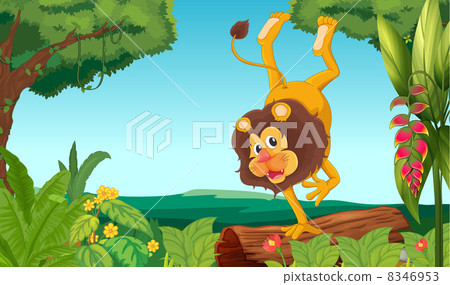 A lion showing off A lion showing off 8346953
