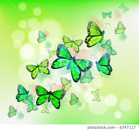 A group of green butterflies A group of green butterflies 8347117