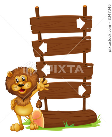 A lion and the wooden board A lion and the wooden board 8347346