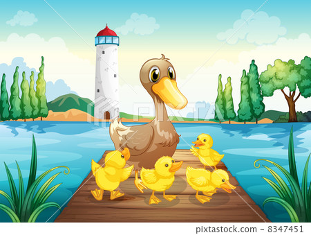 A mother duck with four baby ducks in the wooden bridge A mother duck with four baby ducks in the wooden bridge 8347451