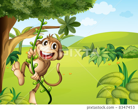 A hanging monkey and a beautiful nature A hanging monkey and a beautiful nature 8347453