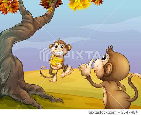 Two monkeys beside the big tree Two monkeys beside the big tree 8347484