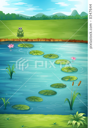 A frog and a lake A frog and a lake 8347644