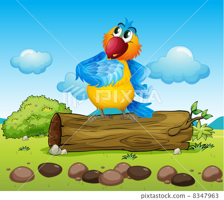 A colorful parrot 8347963