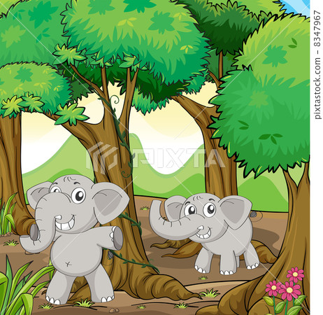 Two young elephants in the forest Two young elephants in the forest 8347967