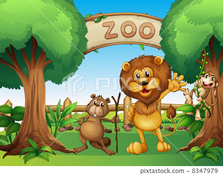 A monkey, beaver and a lion in the zoo 8347979