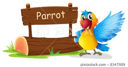 A colorful parrot beside a signboard 8347989