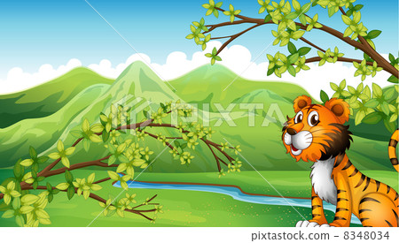 A tiger in a mountain scenery A tiger in a mountain scenery 8348034
