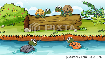 Turtles on water and log 8348192