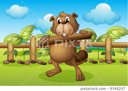 A beaver inside a fence holding a wood A beaver inside a fence holding a wood 8348207