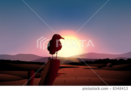 A sunset in the desert with a bird at a branch of a tree A sunset in the desert with a bird at a branch of a tree 8348413