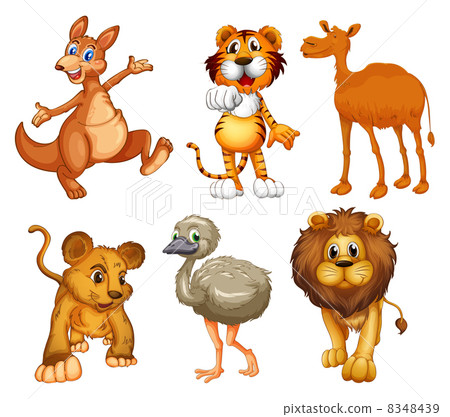 A group of wild animals 8348439