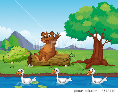 A smiling bear and ducks A smiling bear and ducks 8348440