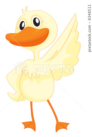 a duck a duck 8348511