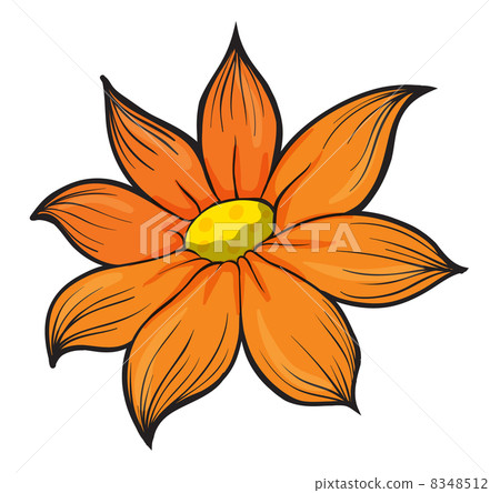 An orange flower An orange flower 8348512