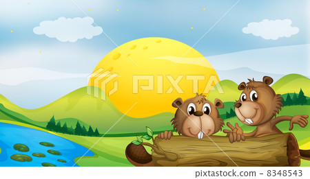 Two beavers at the riverbank 8348543