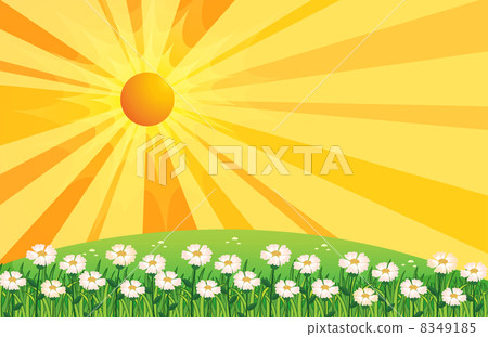 A garden of white flowers above the hills 8349185