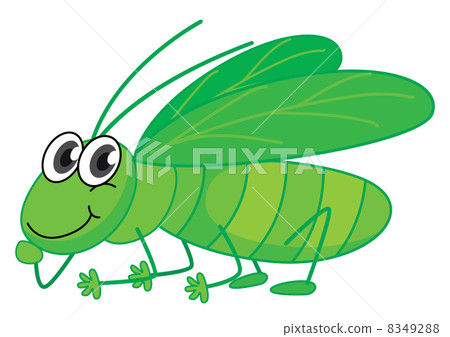 A smiling grasshopper A smiling grasshopper 8349288