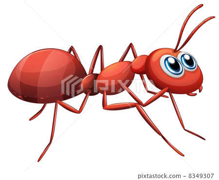 An ant crawling 8349307