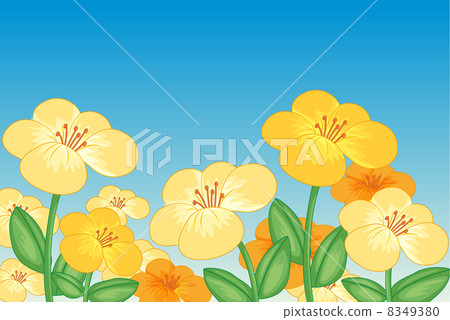 Beautiful flowers Beautiful flowers 8349380