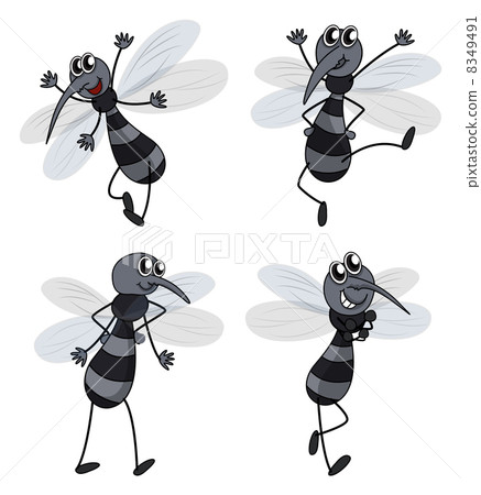Four mosquitoes 8349491