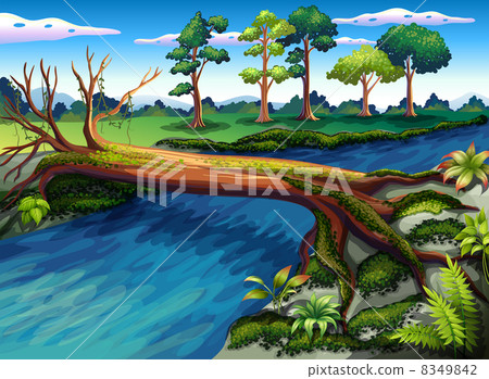 A tree with algae at the river 8349842