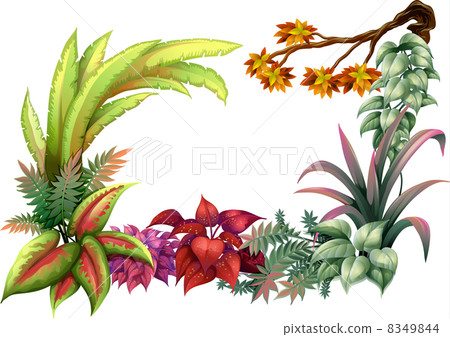 Leafy plants and a branch of a tree 8349844