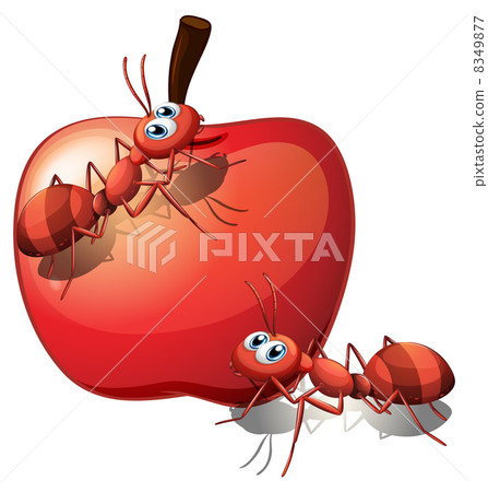 An apple with ants An apple with ants 8349877