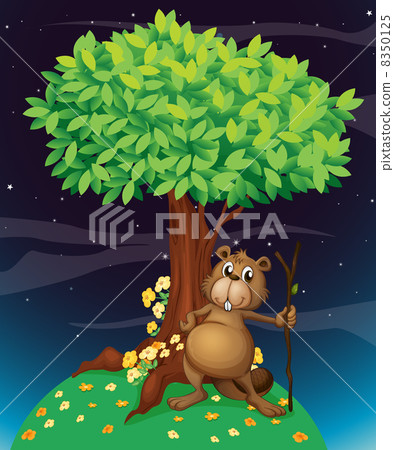 A beaver under a big tree A beaver under a big tree 8350125