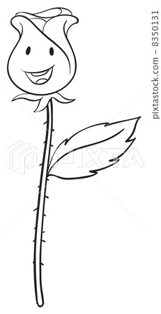 a rose sketch a rose sketch 8350131