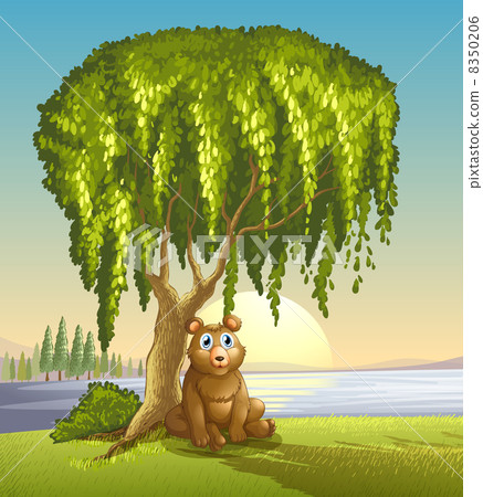 A bear under a big tree A bear under a big tree 8350206