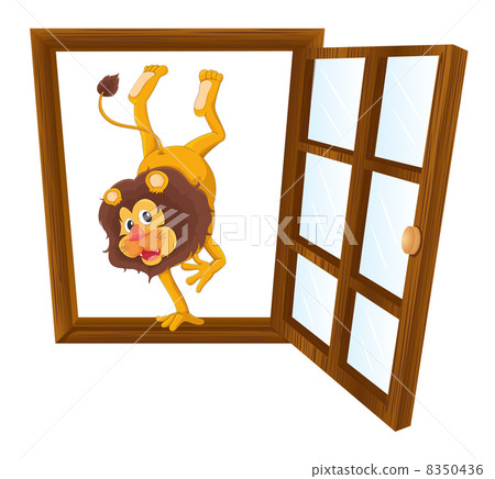 a lion in the window 8350436
