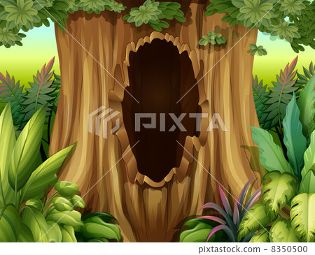 A big trunk of a tree with a hole A big trunk of a tree with a hole 8350500