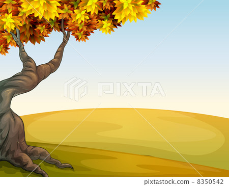 A tree and a beautiful landscape 8350542