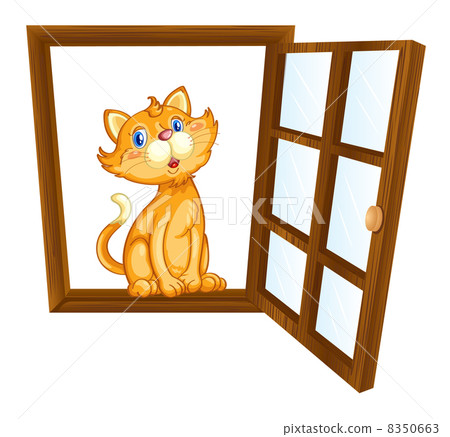 cat and window cat and window 8350663
