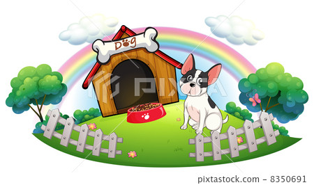 dog fence for inside house