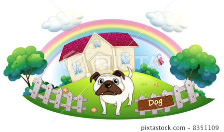 dog fence for inside house