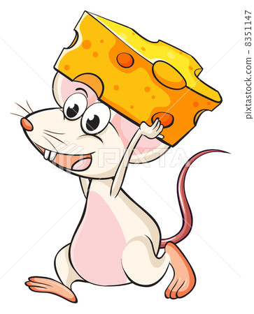 A mouse and a cheese A mouse and a cheese 8351147