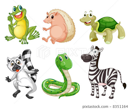 Different species of animals 8351164