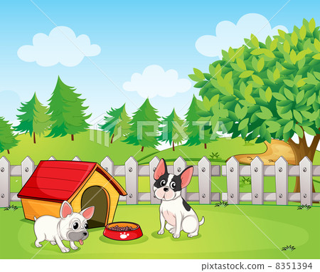 A backyard with two dogs A backyard with two dogs 8351394