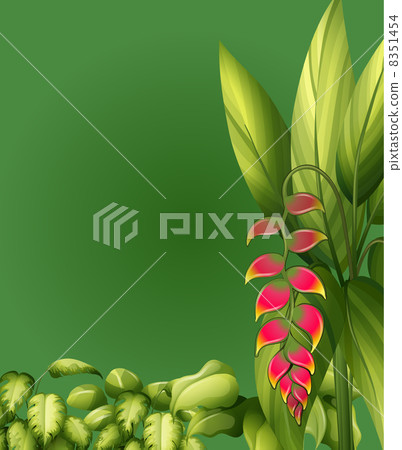 Plants with elliptic leaves Plants with elliptic leaves 8351454