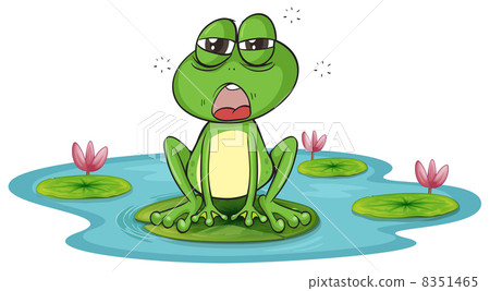 a frog and a water 8351465