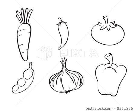 various vegetables various vegetables 8351556