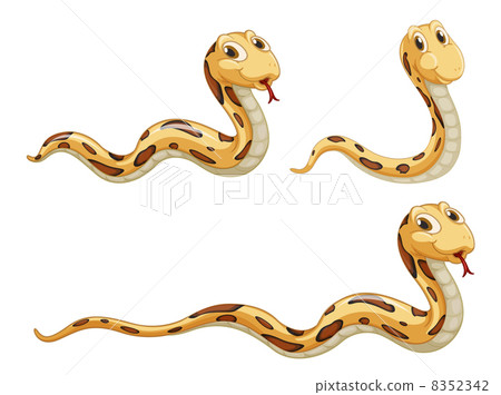 snakes 8352342