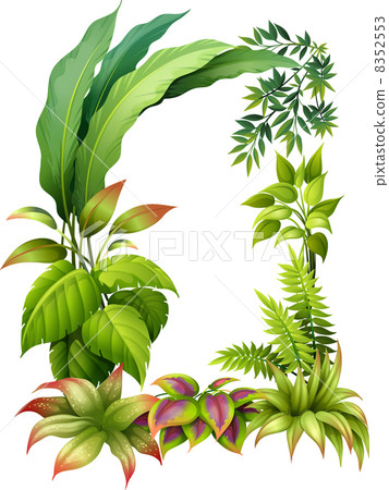 Leafy plants 8352553
